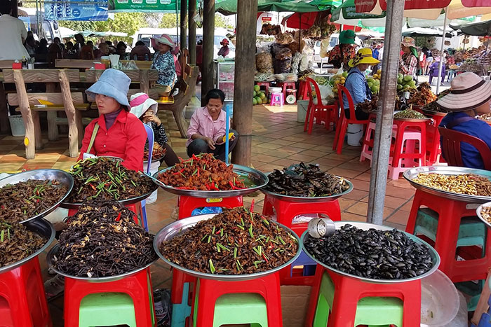 trajet Phnom Penh Siem Reap marche insectes Skun